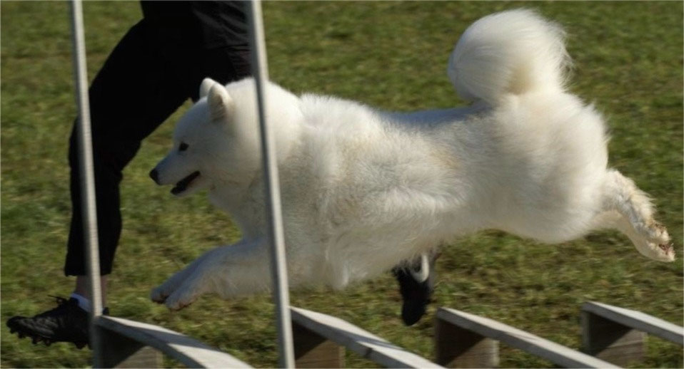 Daisy. Long jump