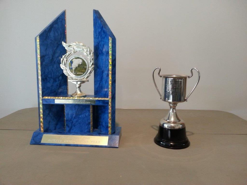 Agility of Year trophy and cup