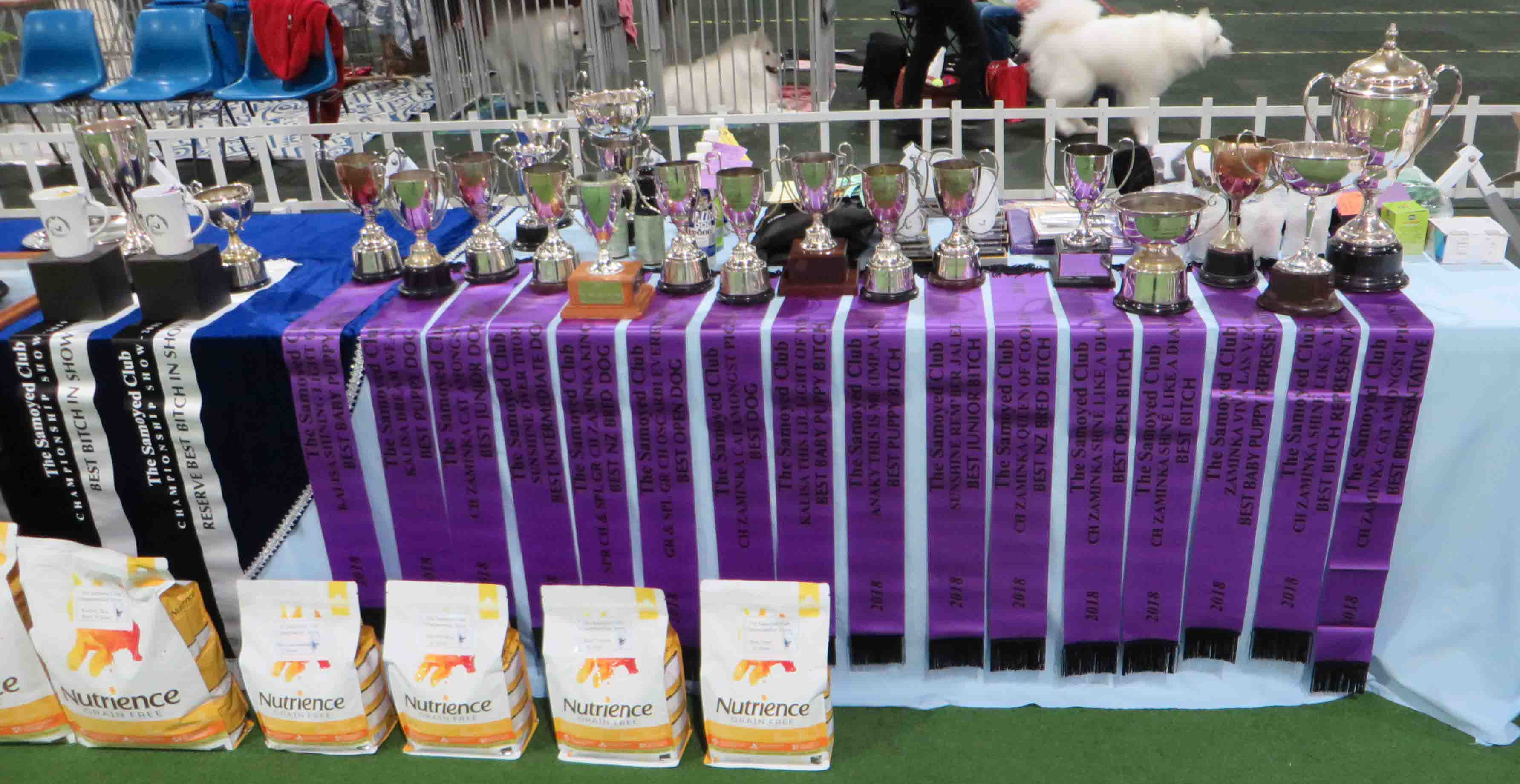 Samoyed Day 20 July 2019 Annual Awardws table