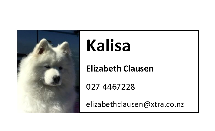 Kalisa Samoyeds