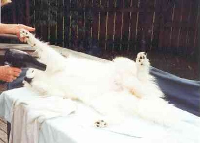 Katie enjoying drying.