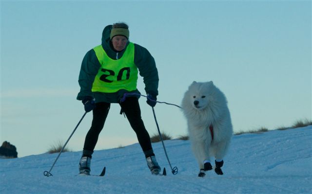 Henry Skijorring