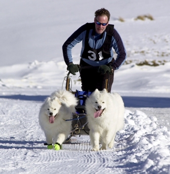 Meiska and Zac Wanaka Sled Race 2003